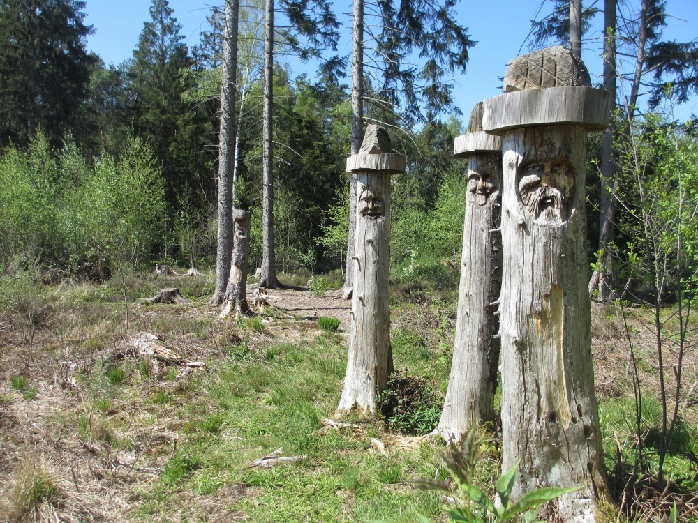 Schnitzereien stehen am Beginn der Weges in das Moor - Sterntaler Filze