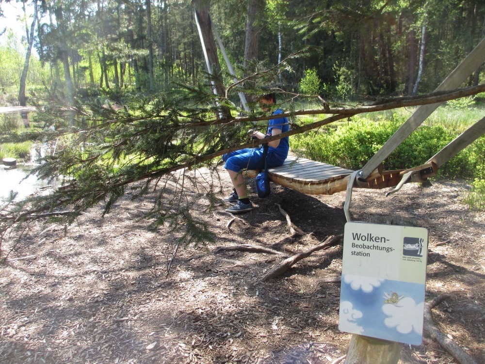 Holzliegen am Moorsee - Sterntaler Filze