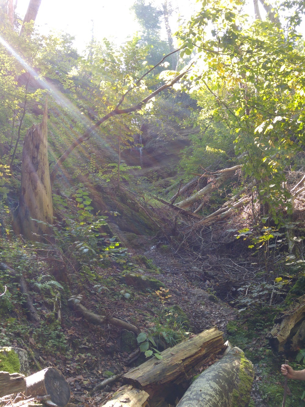 Ein erster kleiner Wasserfall, kaum zu erreichen durch den wild gelassenen Wald