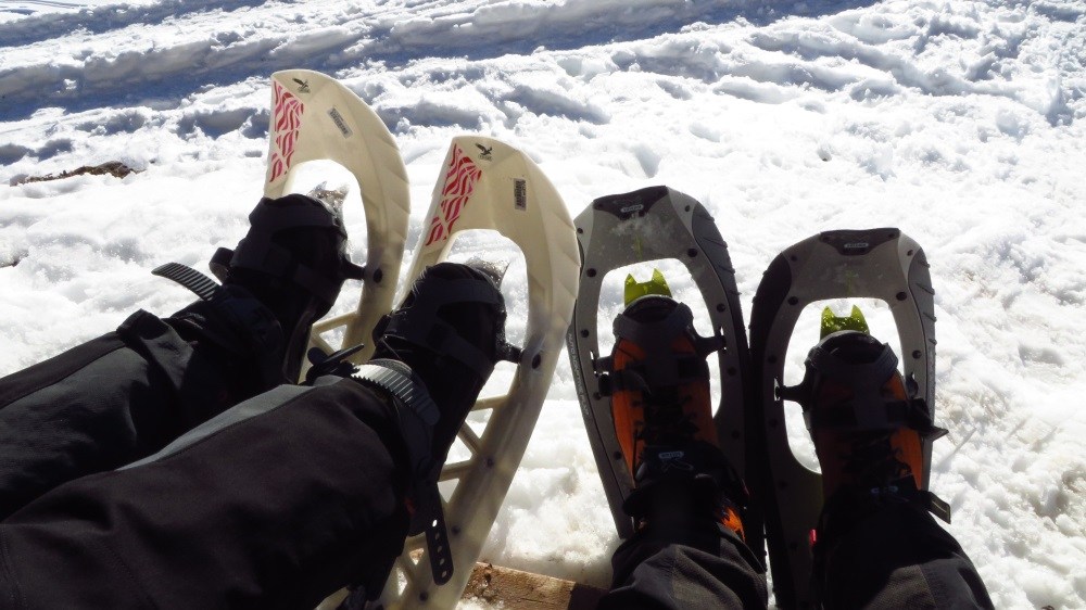 Schneeschuhe im Einsatz