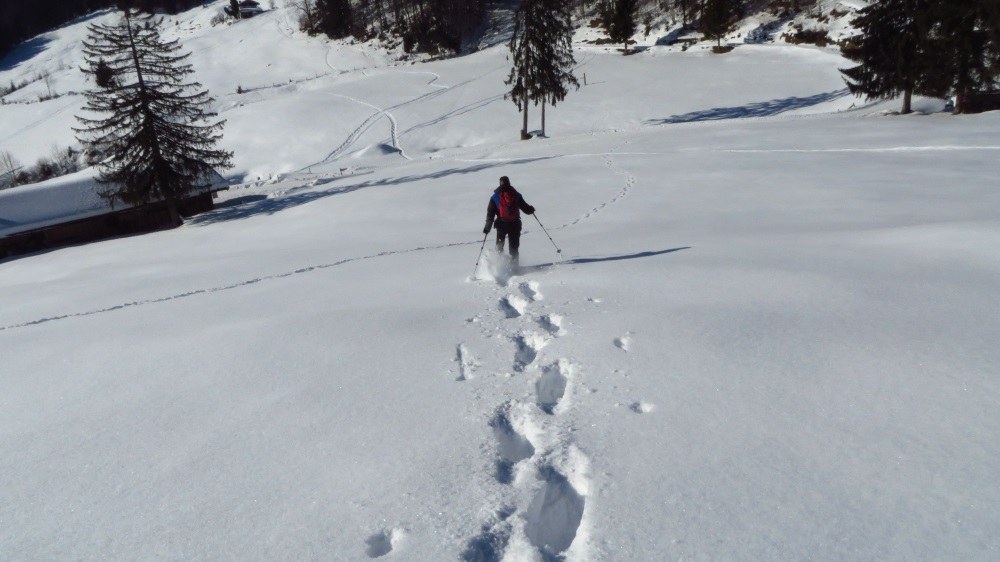 Hüpf, da stäubt der Schnee... Glück gehabt, nicht in den Schnee gekugelt, beim Abwärtslaufen.