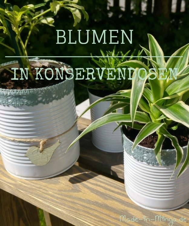 Blume in Konservendose pflanzen made-in-minga