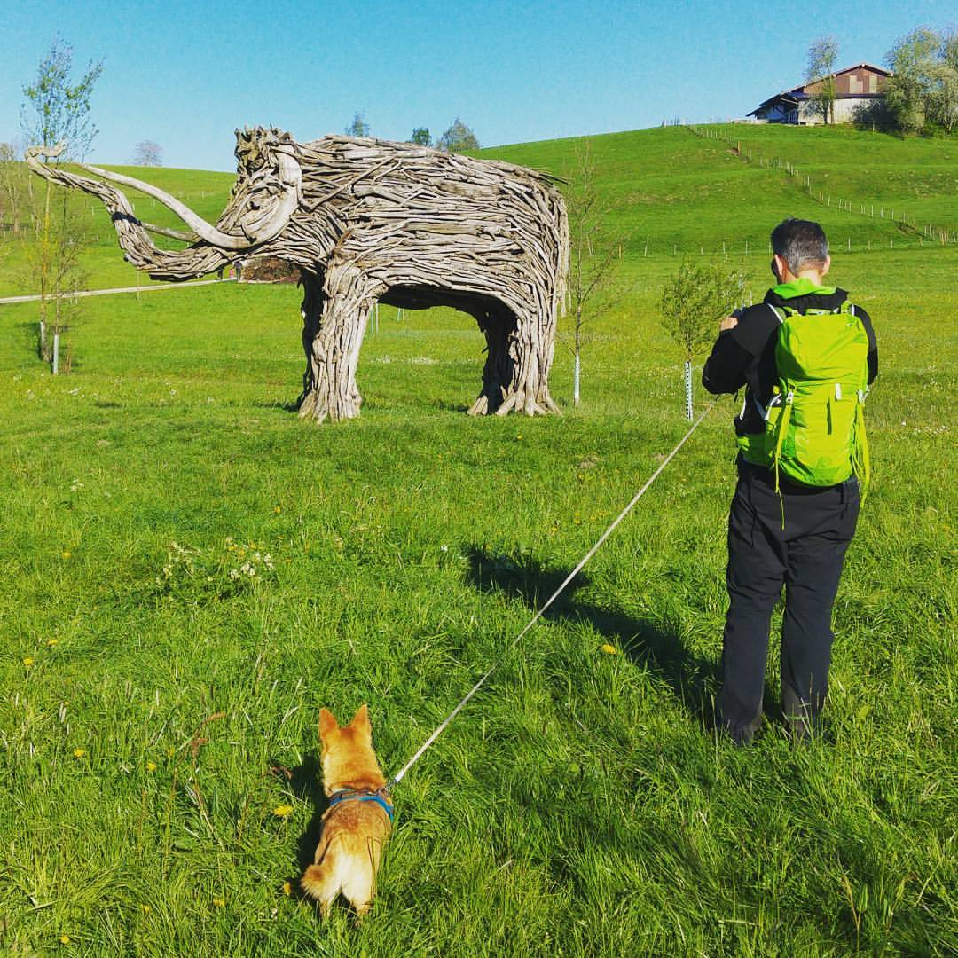 Ein Mammut am Rimsting Wanderweg weist auf die vergangenen Mammuts hin