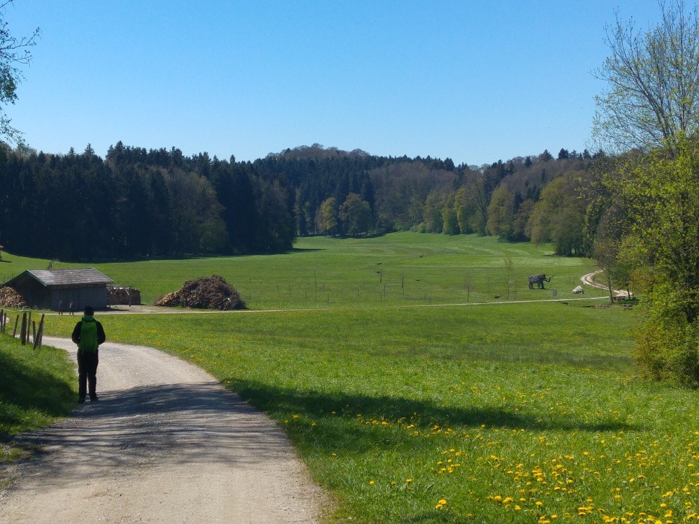 Aus dem Dorf Rimsting heraus zieht sich der Wanderweg idyllisch über Wiesen