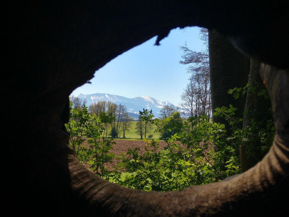 Bei klarem Wetter haben wir einen tollen Blick auf das Voralpenland - Ausflug zur Ratzinger Hoehe