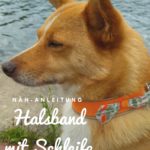 Hundehalsband mit Schleife nähen