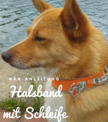 Hundehalsband mit Schleife nähen