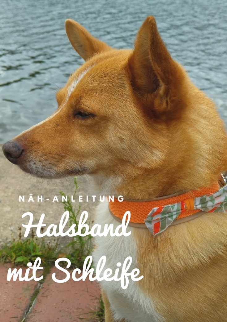 Hundehalsband mit Schleife nähen