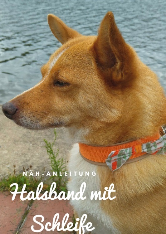 Hundehalsband mit Schleife nähen