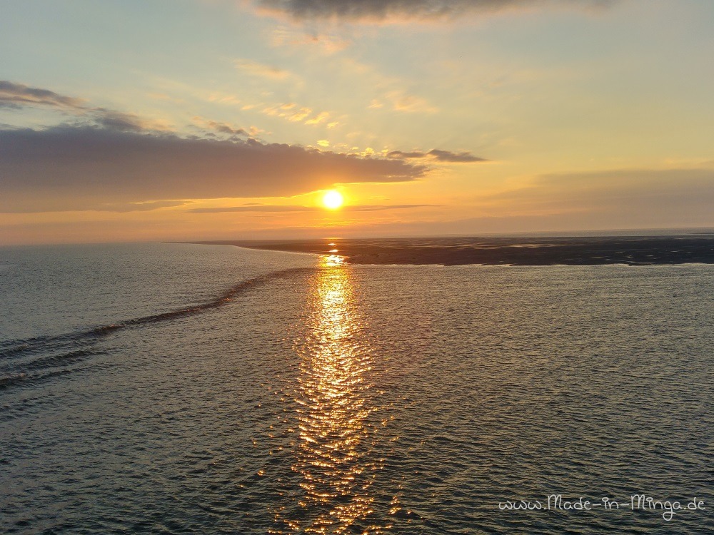 Sonnenaufgang auf Langeness