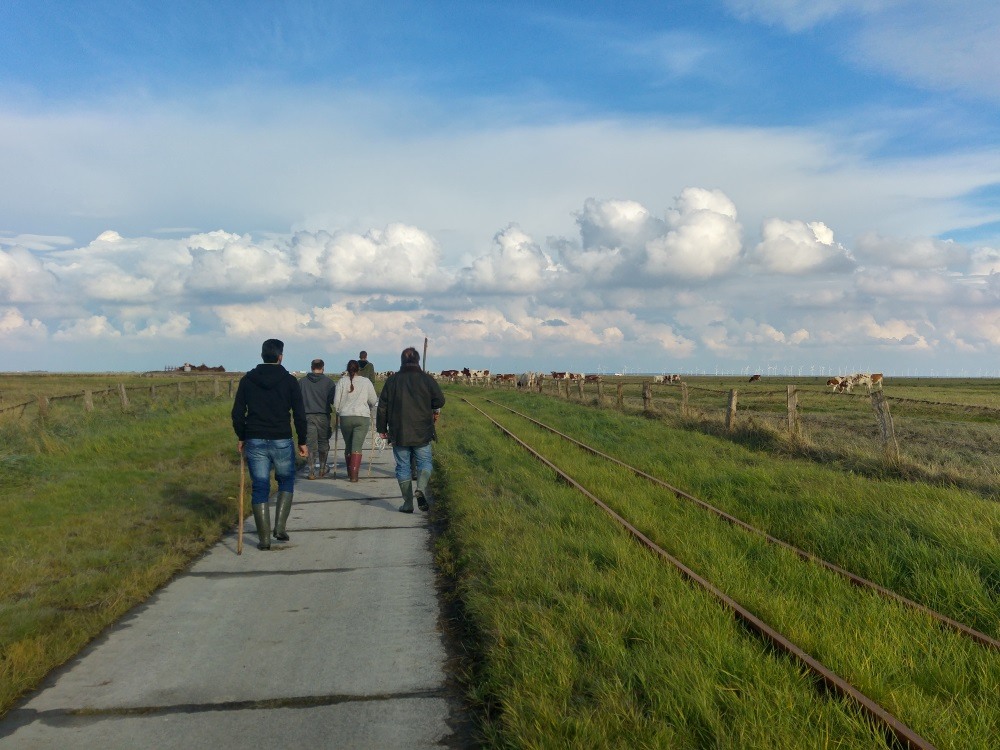 Unsere Gruppe von Kuhhirten auf dem Weg zur Herde