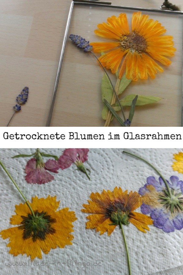 Blumen pressen für glasrahmen