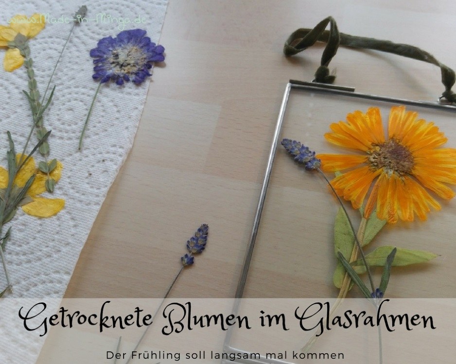 getrocknete und gepresste Blumen im Glasrahmen