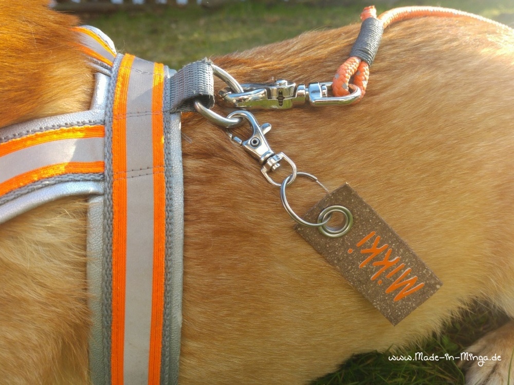 Namensschild am Hundegeschirr festmachen