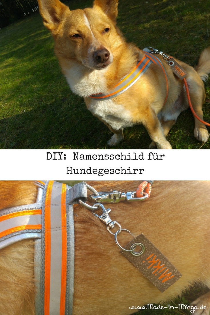 Namensschild selbstgemacht. Am Hundegeschirr befestigen
