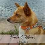 Hundehalsband mit Schleife nähen