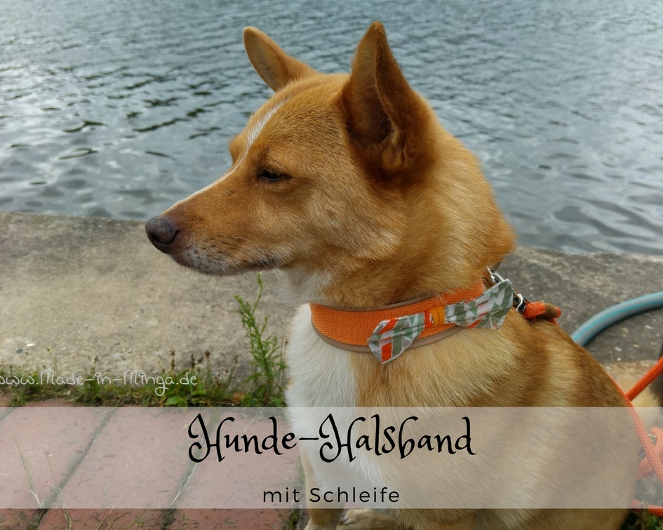 Hundehalsband mit Schleife nähen