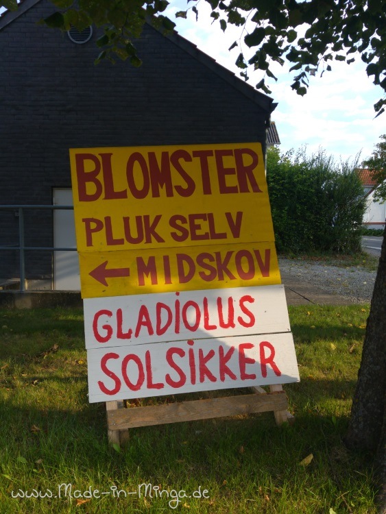 Schild: Blumen zum selber pflücken