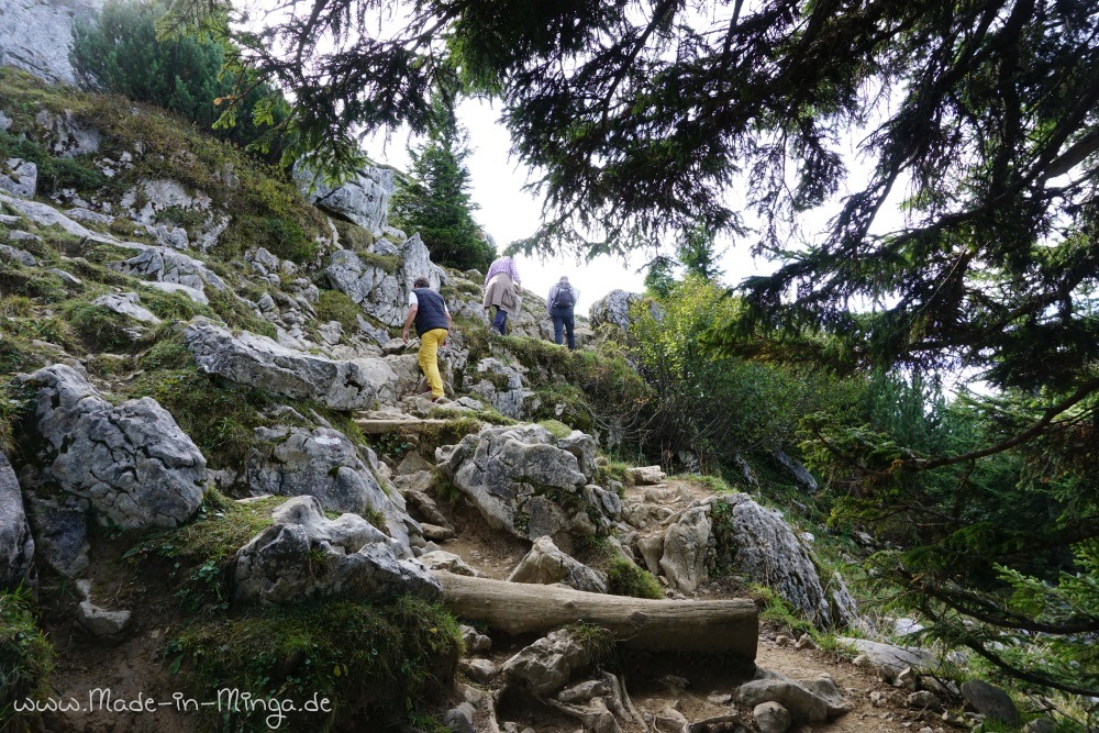WAnderweg ausgehend von der Bergstation der Taubensteinbahn