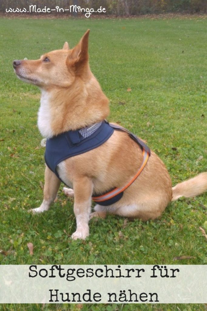 Geschirr für Hunde selber nähen, Softgeschirr nähen