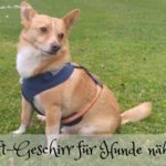 nähanleitung für ein hundegschirr