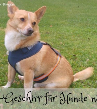 nähanleitung für ein hundegschirr