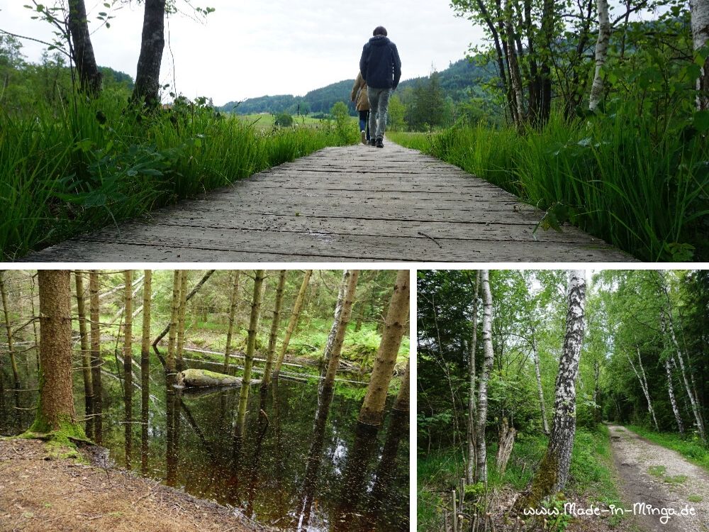 wandern um den Bärnsee