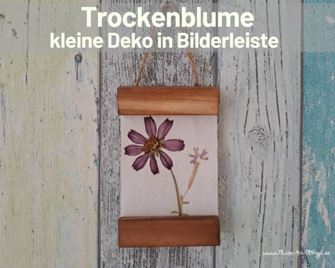 trockene Blüte auf Leinwand kleben