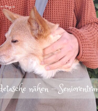 Hund in Tragetasche